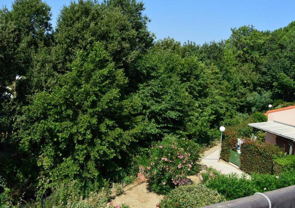 Argeles Plage Apartment | Appartement Argelès-sur-Mer, 1 pièce, 4 personnes - FR-1-225-608