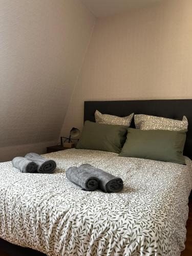 Saumur Apartment | Appartement au coeur de Saumur - Chambre climatisée