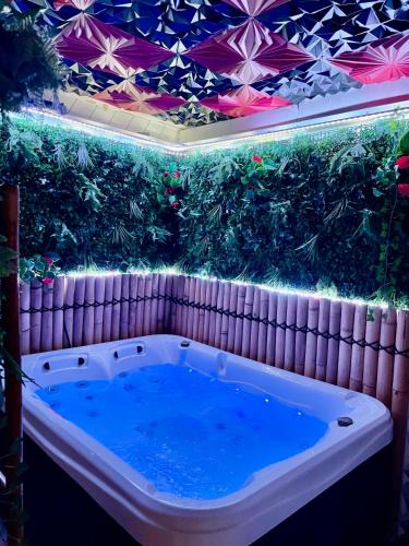 Castres Apartment | Appartement avec Jaccuzi & Jardin