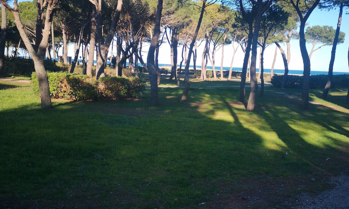 Argeles Plage Apartment | Appartement Cosy Dans une Pinède à 5 Minutes à Pied de la Plage