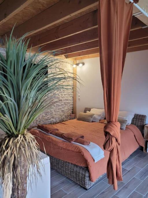 Vergeze Apartment | Appartement cosy & piscine privée - Le Strelitzia