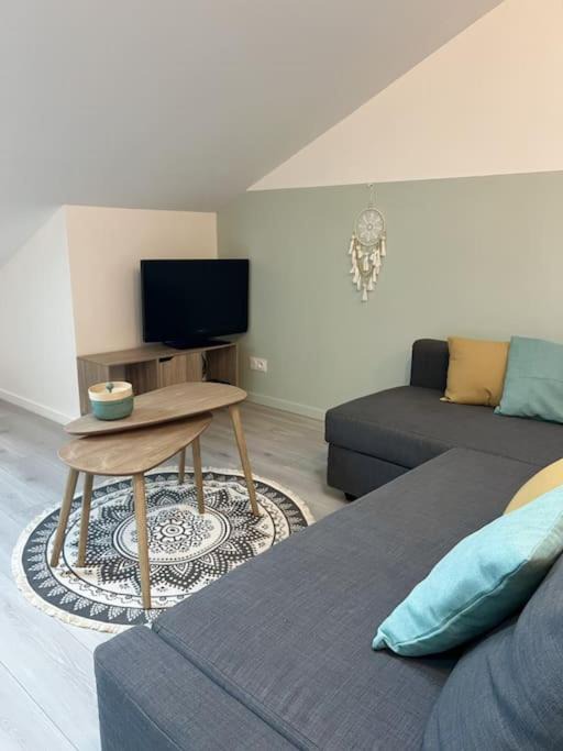 Luneville Apartment | Appartement du Château