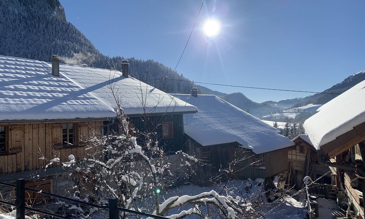 Bellevaux Apartment | Appartement en RDC Dune Ancienne Ferme