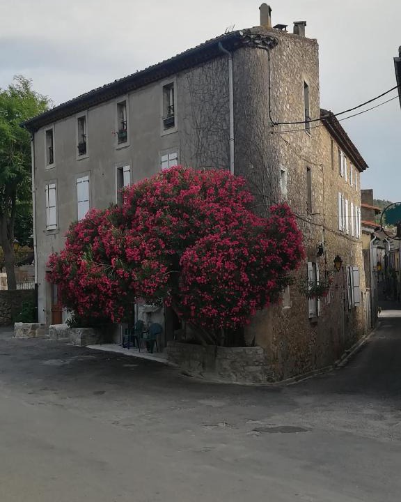 Lagrasse Apartment | Appartement