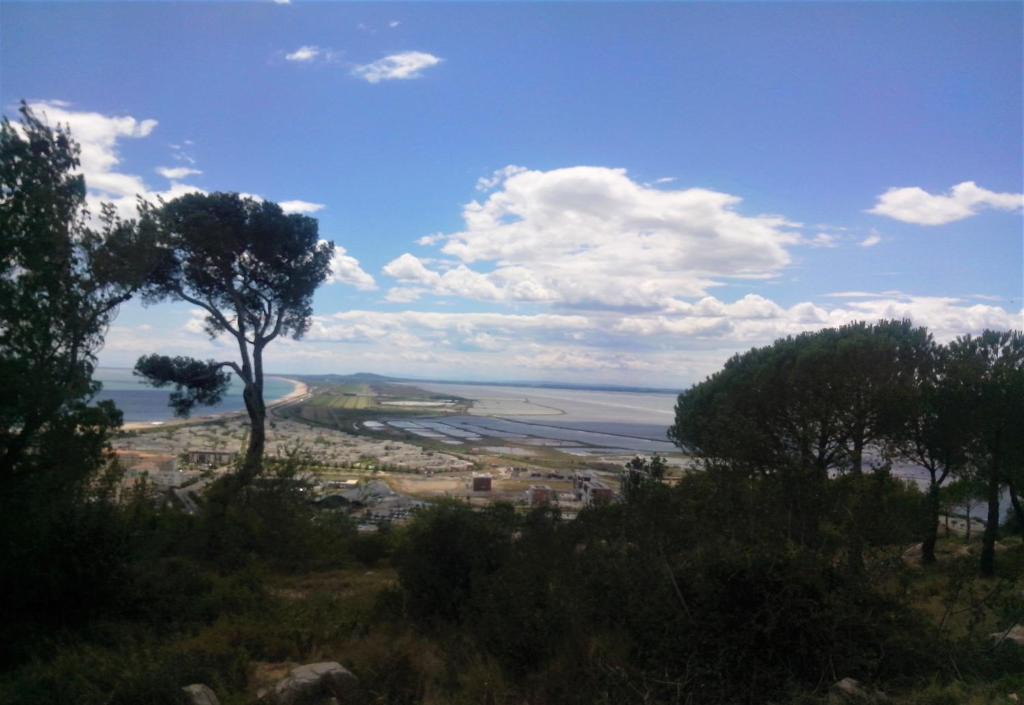 Sete Apartment | Appartement / Jungle