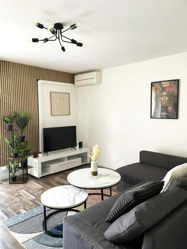 Lemasson Apartment | Appartement Lumineux près du centre de Montpellier