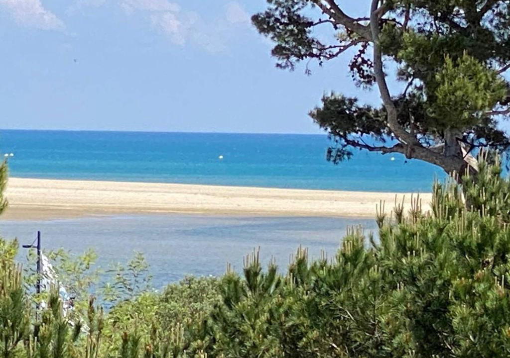 La Franqui Apartment | Appartement pour 4 pers, proche plage, parking, terrasse, commerces à proximité - FR-1-81-559