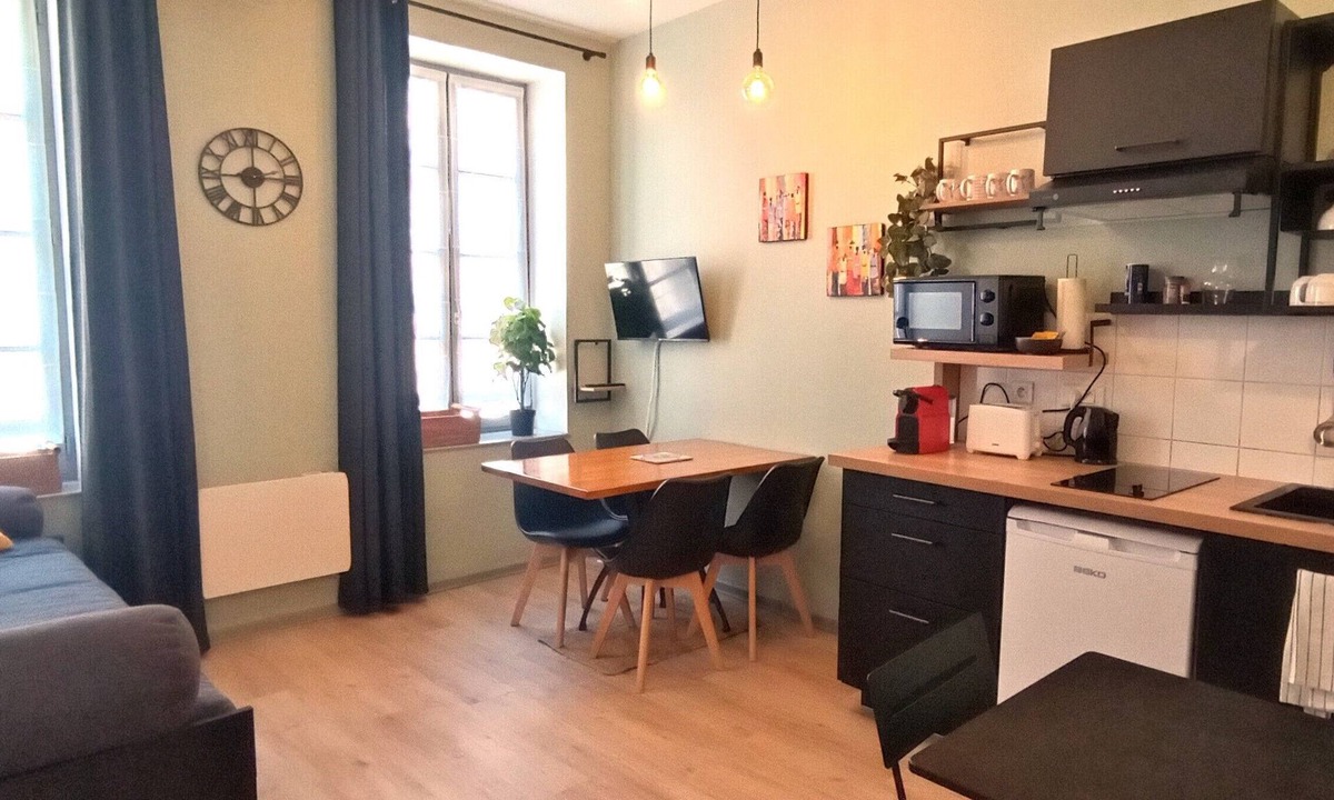 Albi Apartment | Appartement Proche Cathédrale