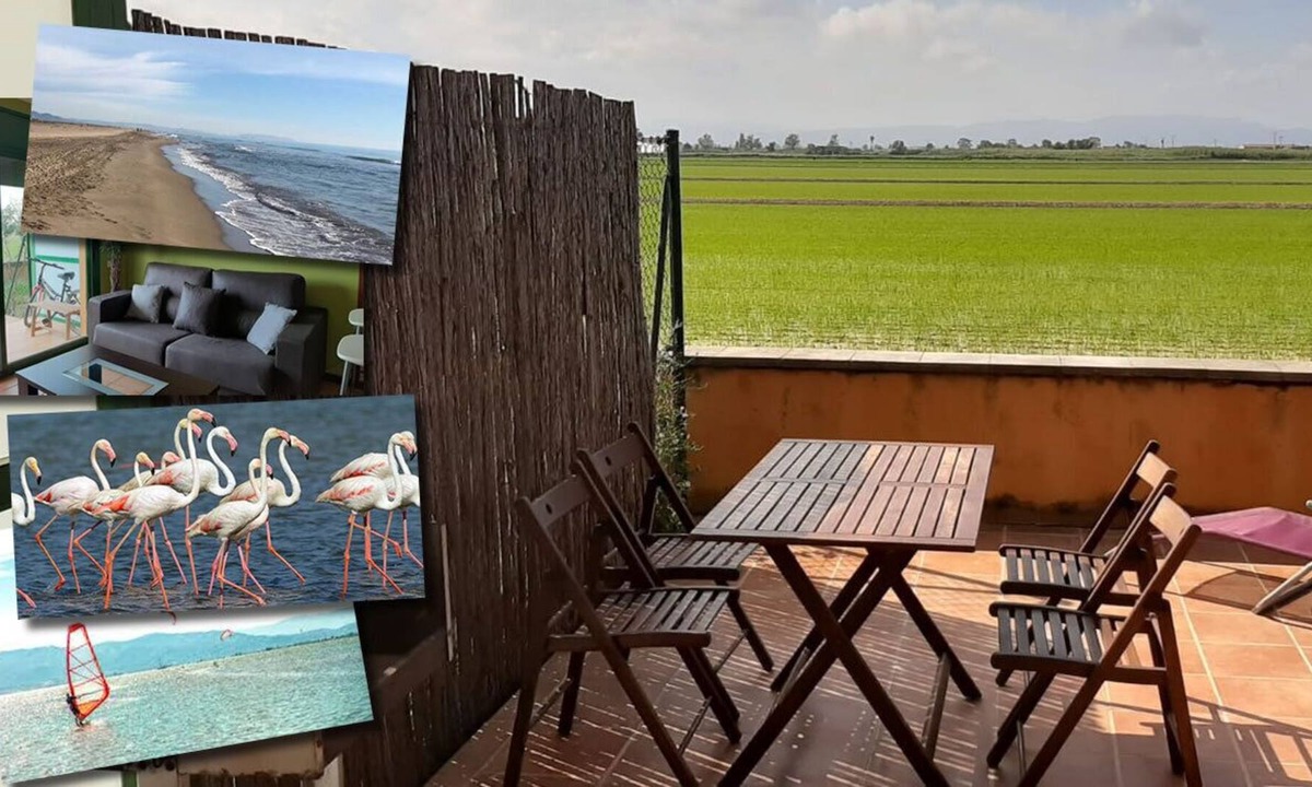 L'Eucaliptus Apartment | Appartement Résidence Terrasse Près des Plages et Calme