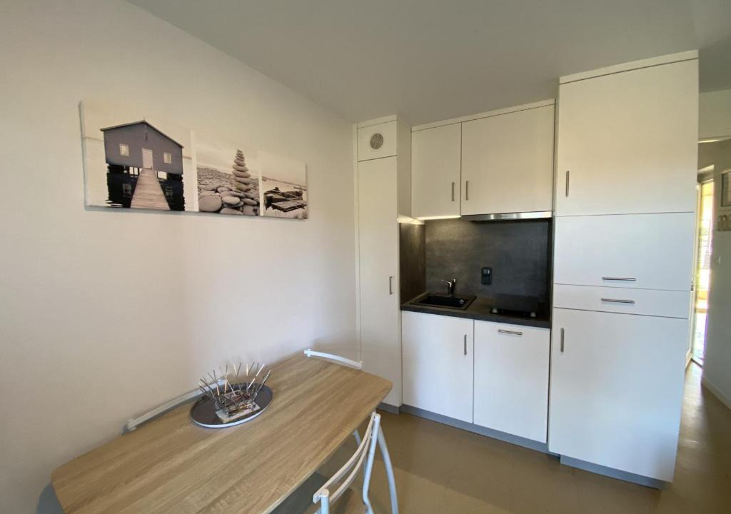 La Roche-Posay Apartment | Appartement RDC avec Terrasse, Proche Thermes du Connétable, WiFi, Animaux Acceptés - FR-1-541-29