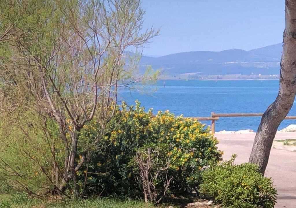 Le Barcares Apartment | Appartement T2, 4 Couchages, Terrasse, Jardinet, Parking, Proche Commerces et Plage, Le Barcarès - FR-1-81-298