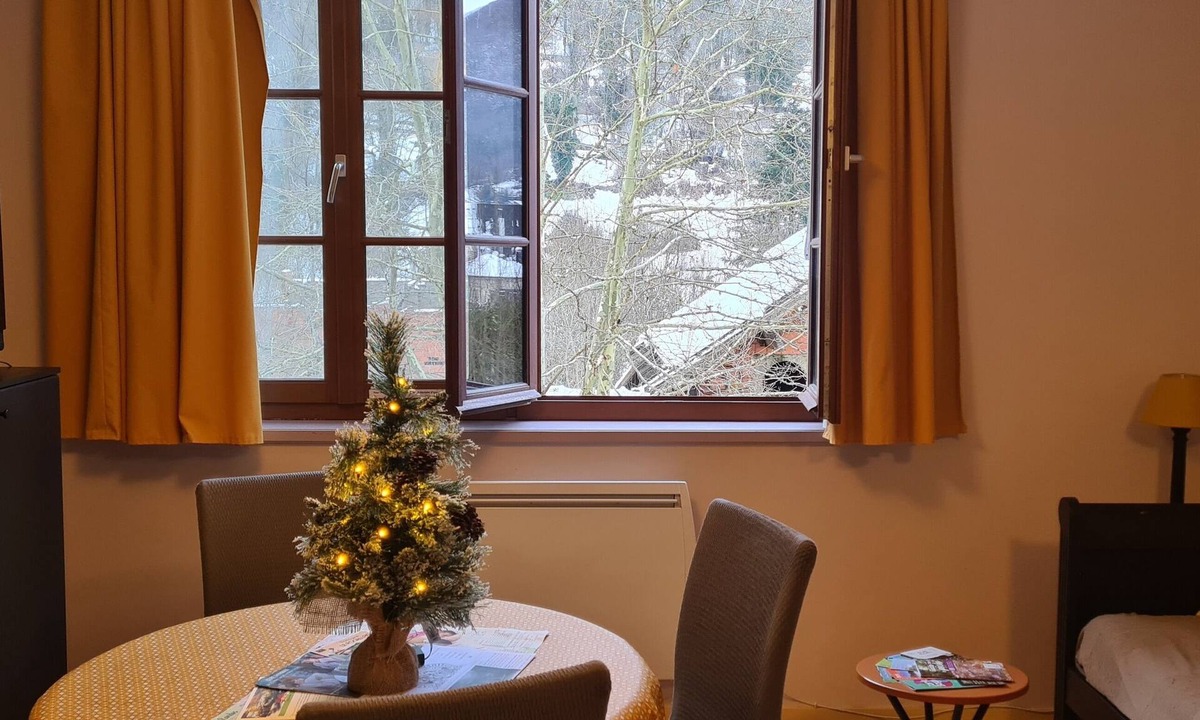Aulus-les-Bains Apartment | Appartement T2 Le Porteur de Glace Dans Résidence du Grand Hôtel
