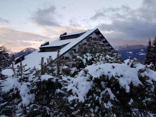 Vionnaz Apartment | Appartement Torgon