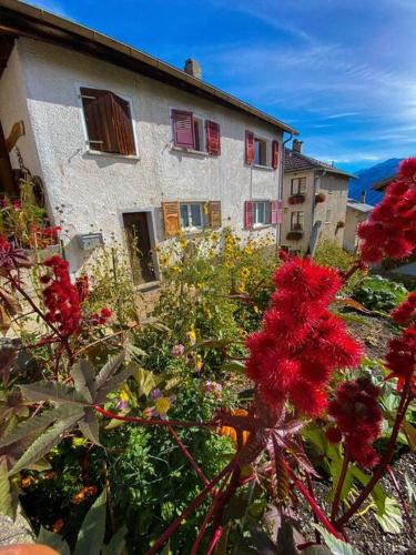 Randogne Apartment | Appartement typique avec Carnotzet
