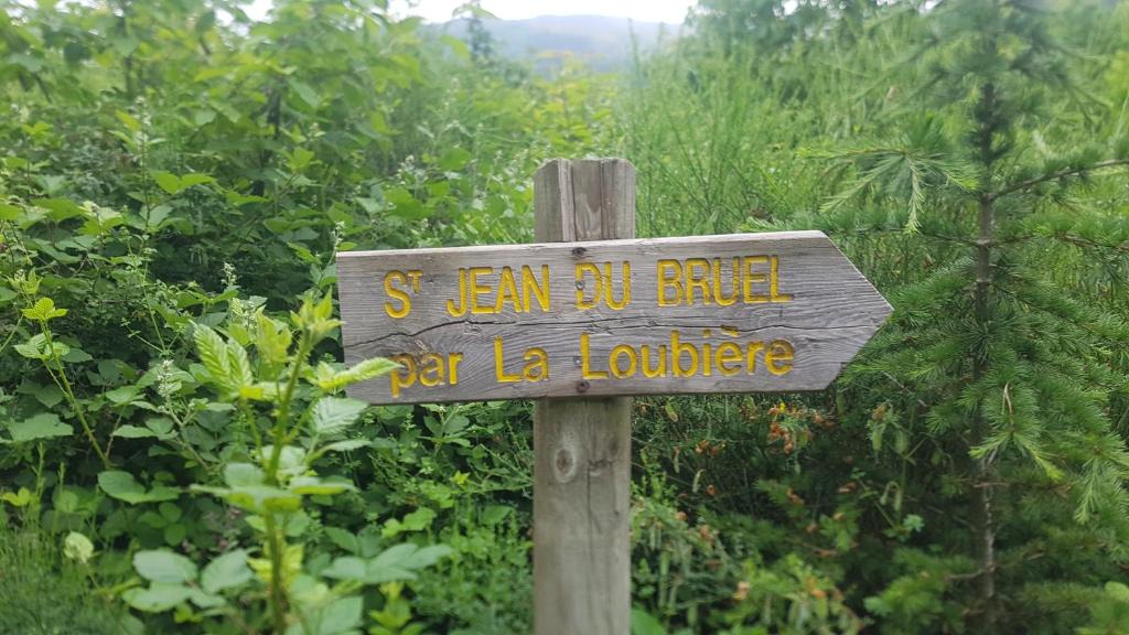 Saint-Jean-du-Bruel Apartment | Appartements Coeur de Village