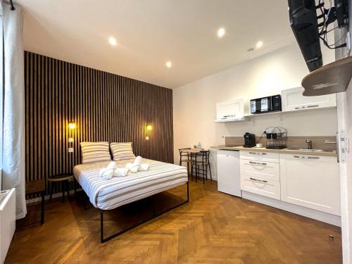 Agen Apartment | Appartements Cosy & Chic- Hyper Centre AGEN