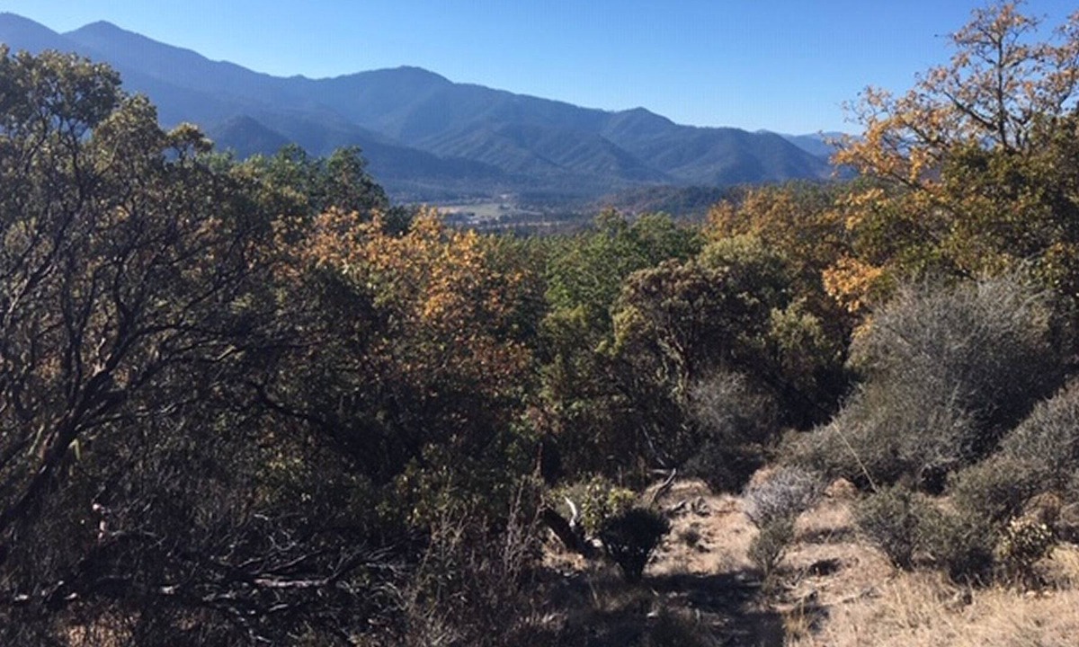 Jacksonville Cabin | Applegate Valley Getaway!