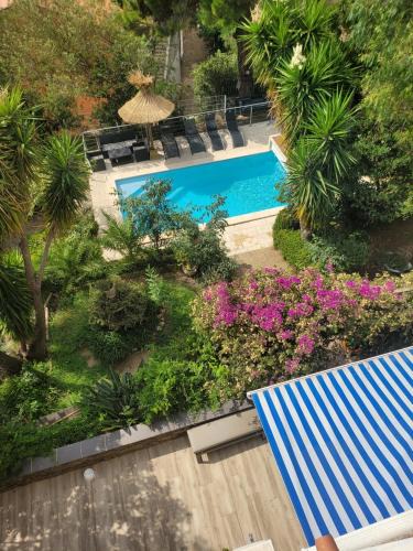 Banyuls-sur-Mer Apartment | APT 65 M2 DANS VILLA AVEC PISCINE BANYULS SUR MER