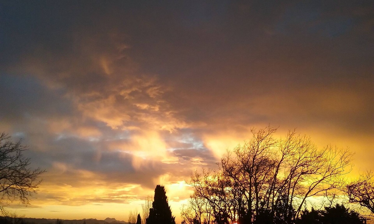 Paradou Apartment | Apt. in the heart of the Alpilles, at the gates of the Camargue