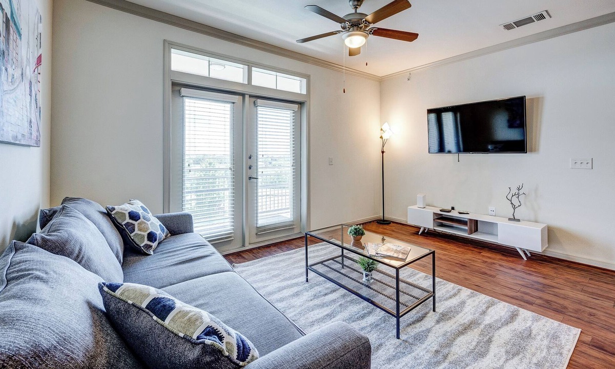 South Main Apartment | Apt W/lake View Near NRG Free Parking Pet Ok