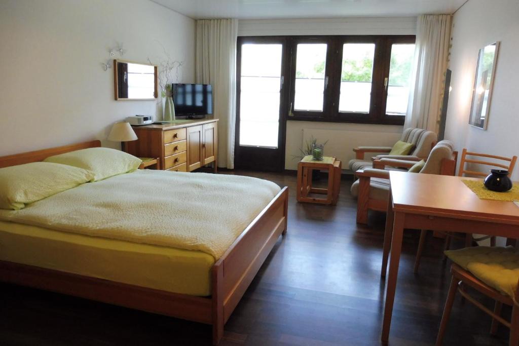 Ernen Apartment | Aragon V149