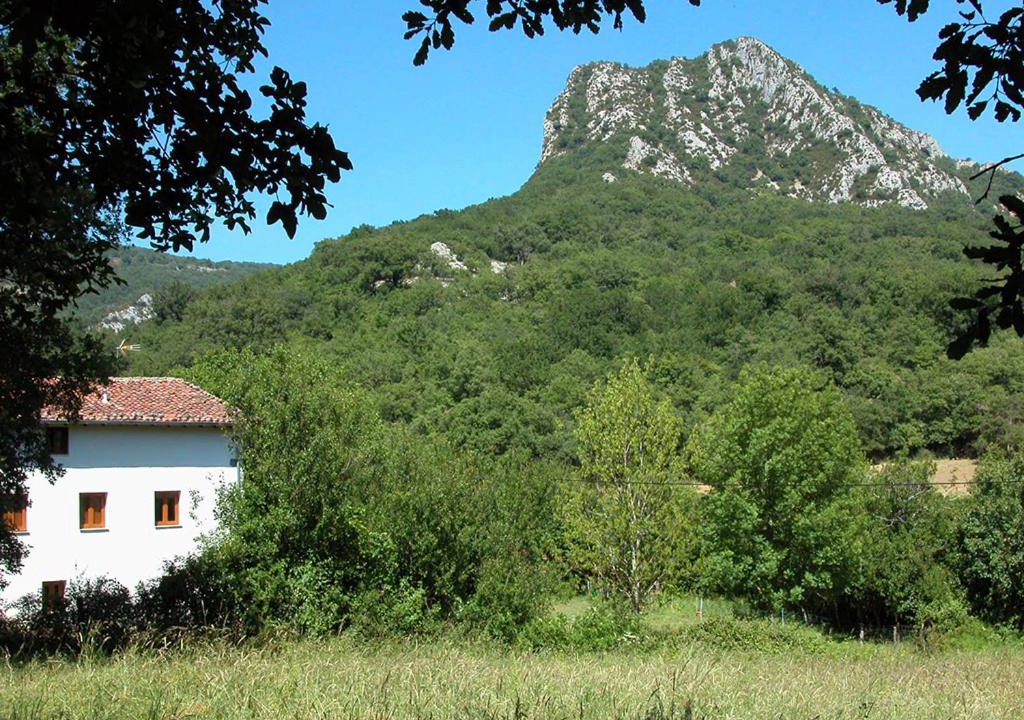 Iraneta House | Araiztar