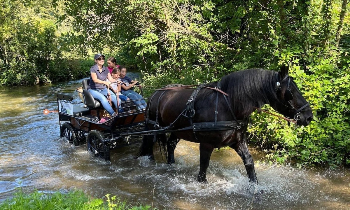 Mentheville Apartment | Armand's barn