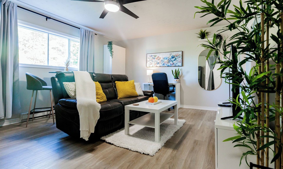 Halifax Apartment | Armdale Retreat + Free Photoshoot!