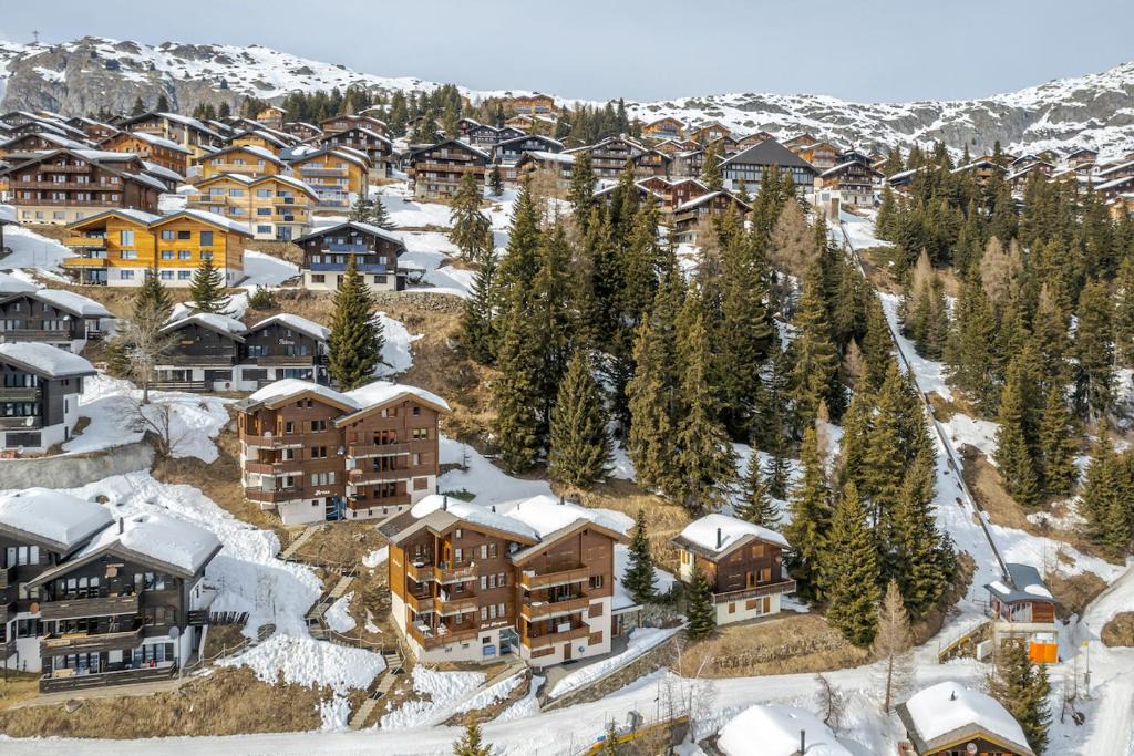 Bettmeralp Apartment | Artus 3