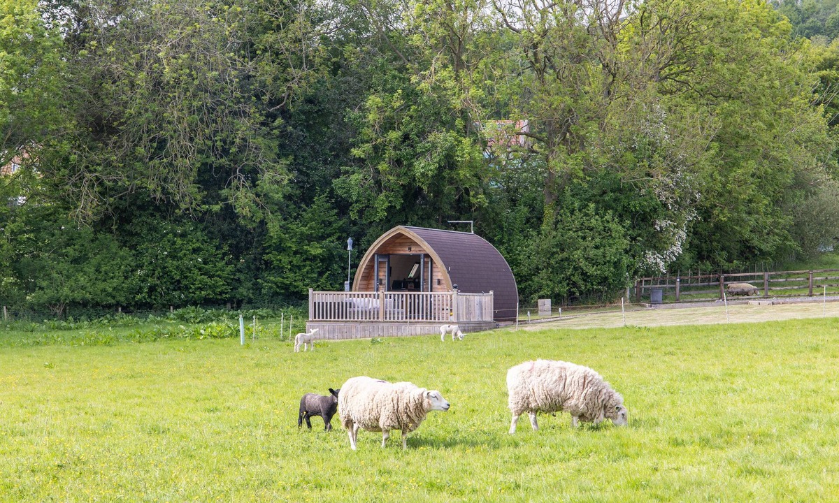 Ampleforth Cottage | Ashberry Glamping Pod - sleeps 2
