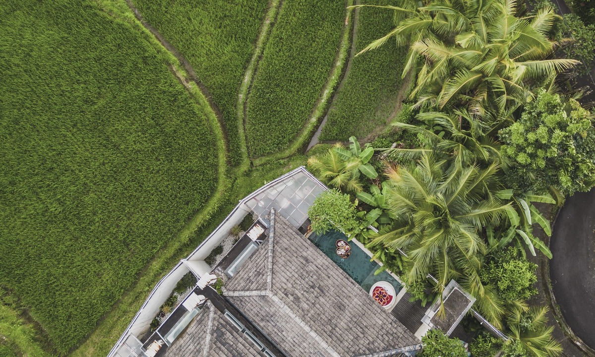 Kelusa Villa | Asvara Villa Ubud by Ini Vie Hospitality