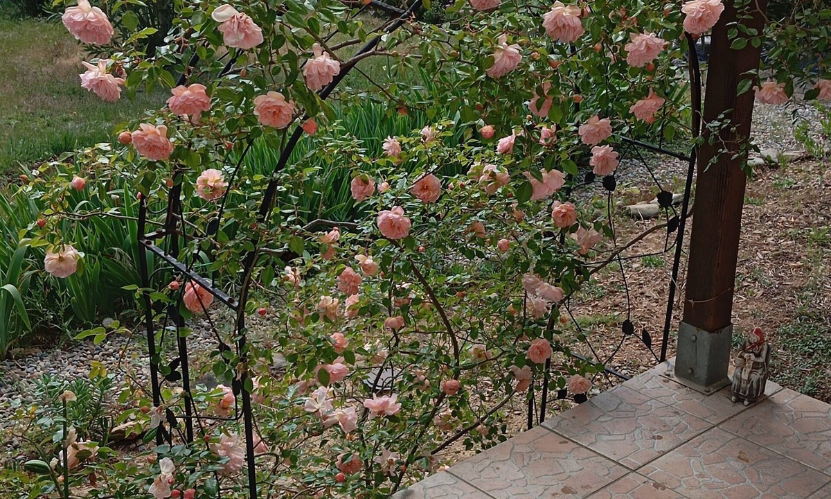 Rieux-Minervois Bed & Breakfast | At Lia and Danny's