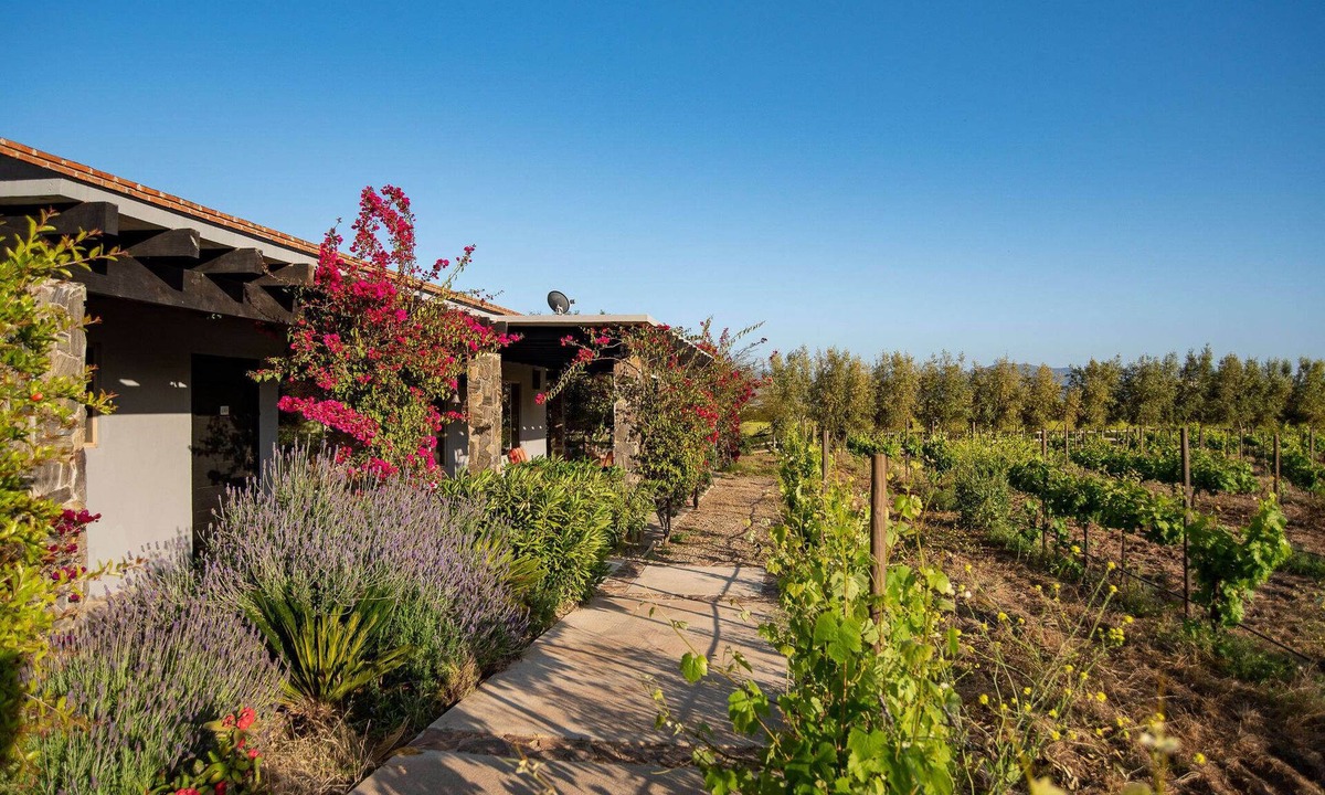 Valle de Guadalupe House | Atika Retreat - Vinyard Villa