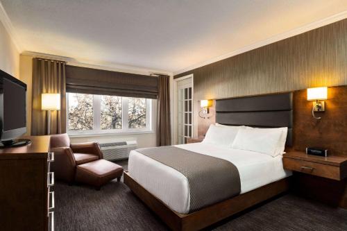 Bathurst Hotel | Atlantic Host Hotel, Trademark Collection by Wyndham