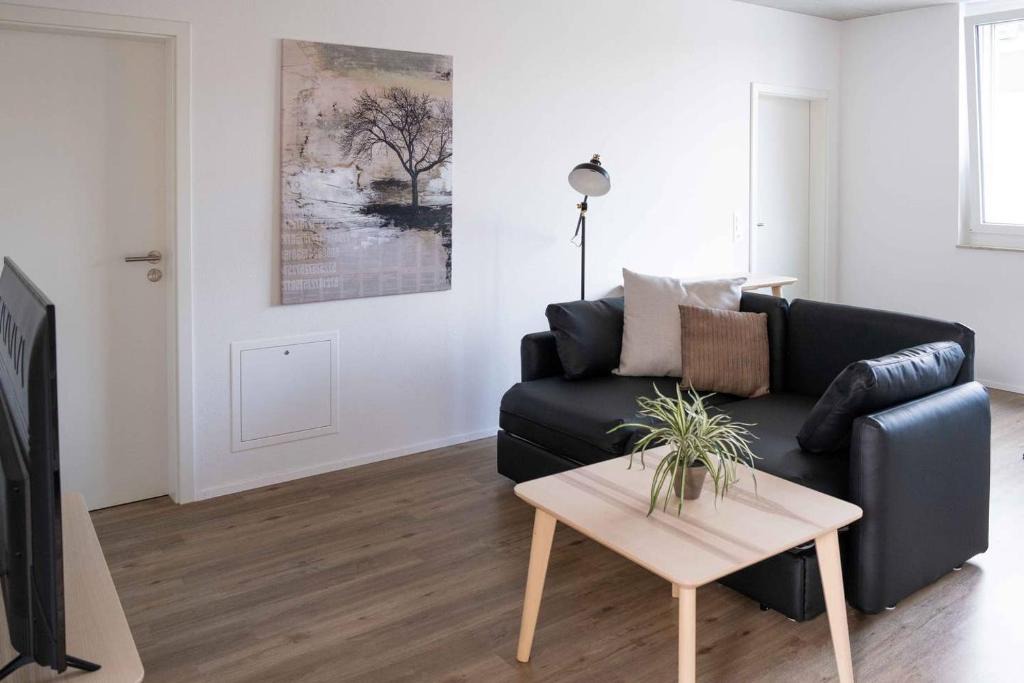 Schaffhausen Apartment | Atrium Apartments