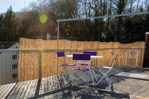 Alt-Wiedikon Apartment | Attic Loft with rooftop terrace!