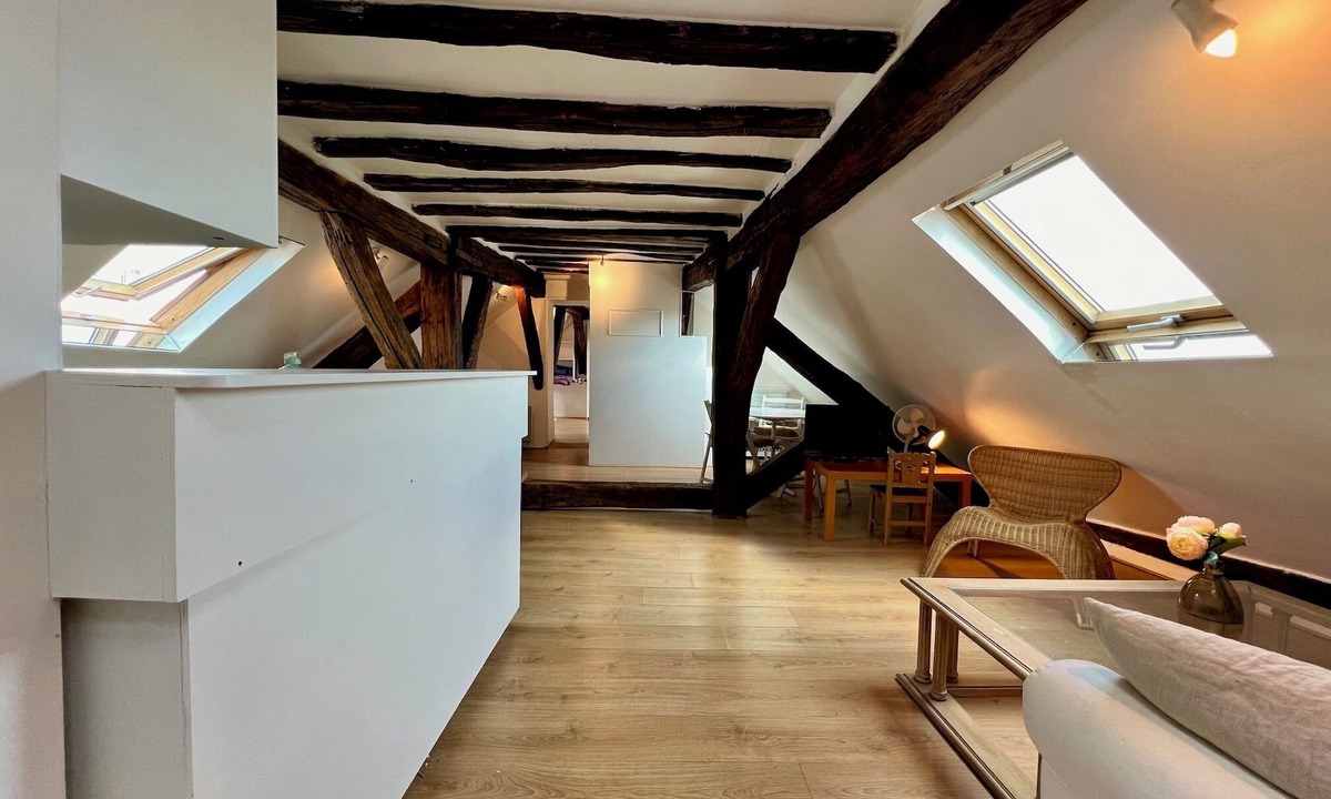 Enfants-Rouges Apartment | ATYPICAL AND CHARMING MARSH LOFT STUDIO FOR 2 PEOPLE