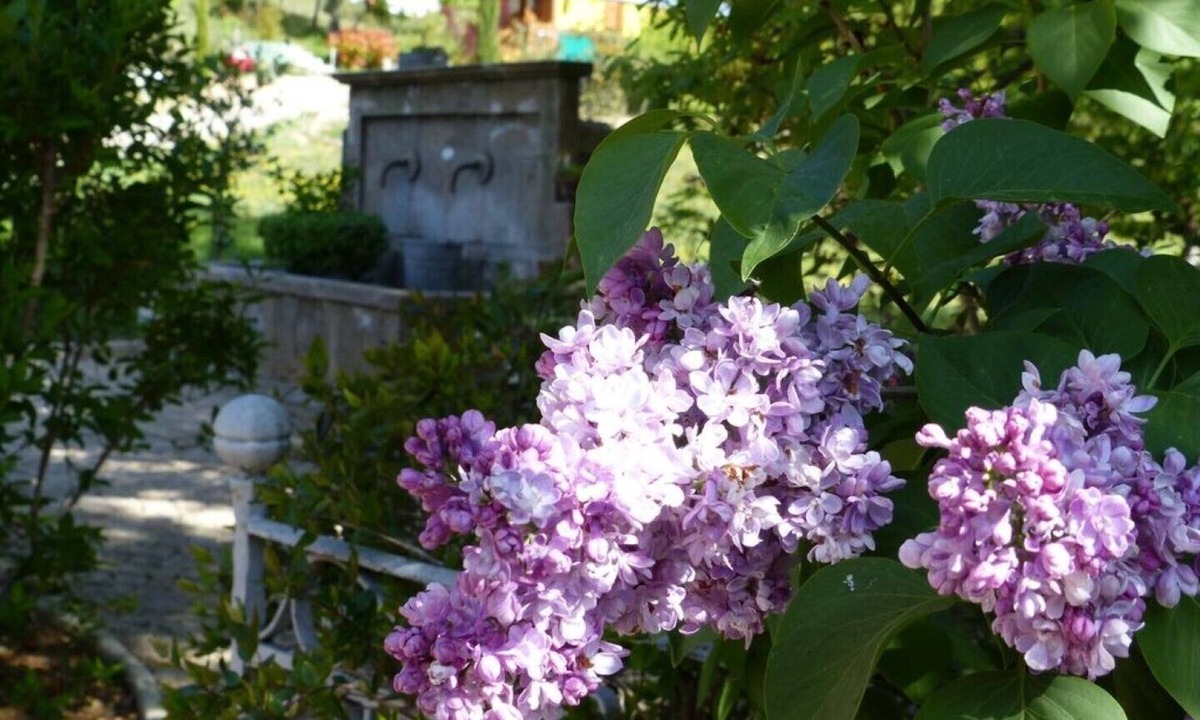 Puimoisson House | atypical cottage L'atelier