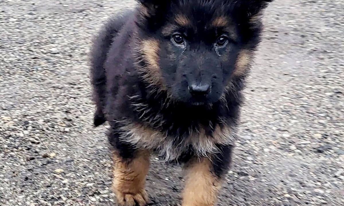 Flamets-Fretils Bed & Breakfast | ATYPICAL GÎTE/SECLUDED HOUSE