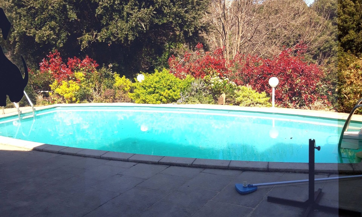 Ceret Apartment | au bord de la piscine,jardin confort