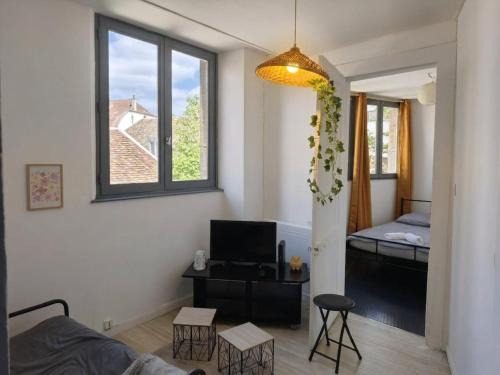 Besancon Old Town Apartment | Au cœur de la Boucle