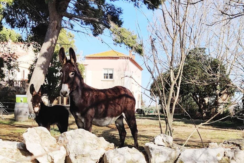 Coursan Apartment | Au cœur de la Nature