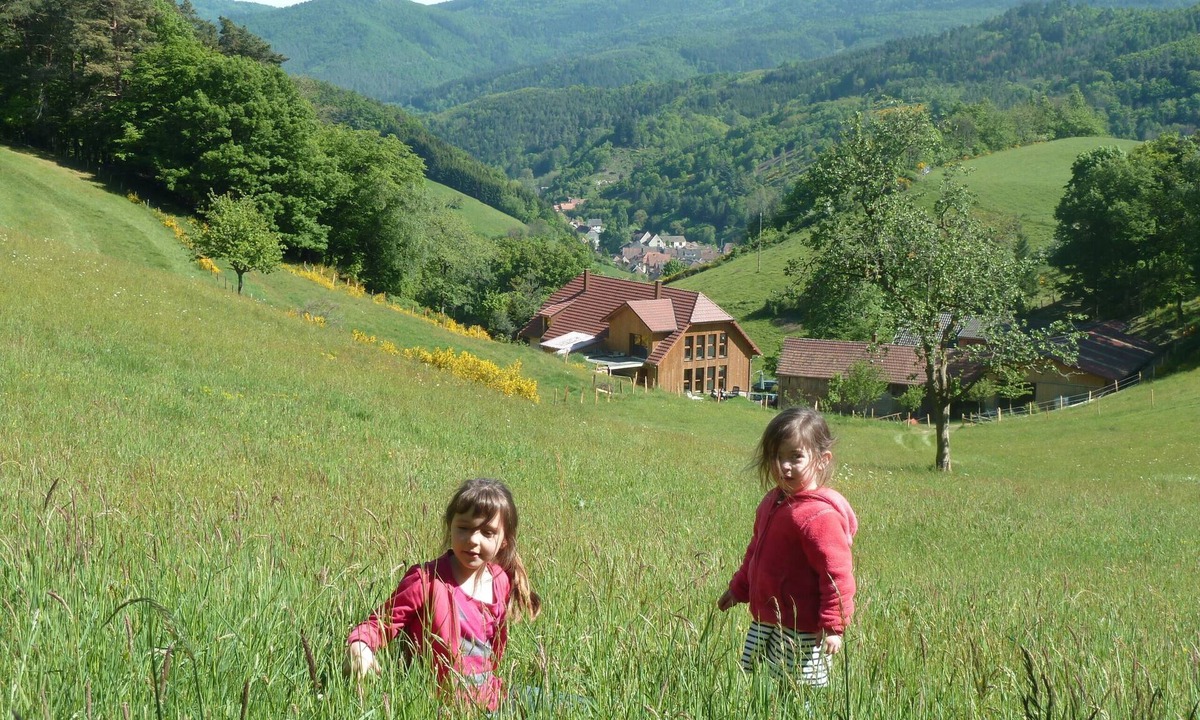 Rombach-le-Franc House | Au Centre de L'alsace et Déjà Dans les Vosges B