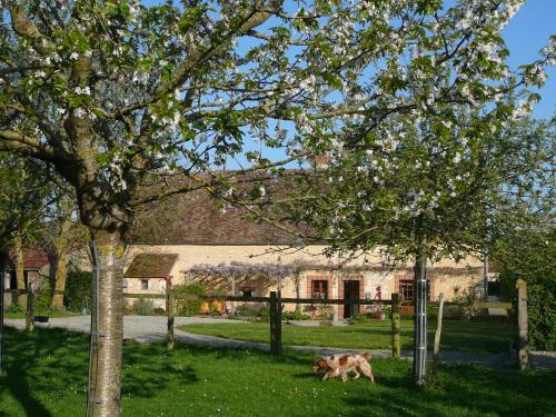 Mortree Bed & Breakfast | Au coeur de l'Orne- chambres d'hôtes