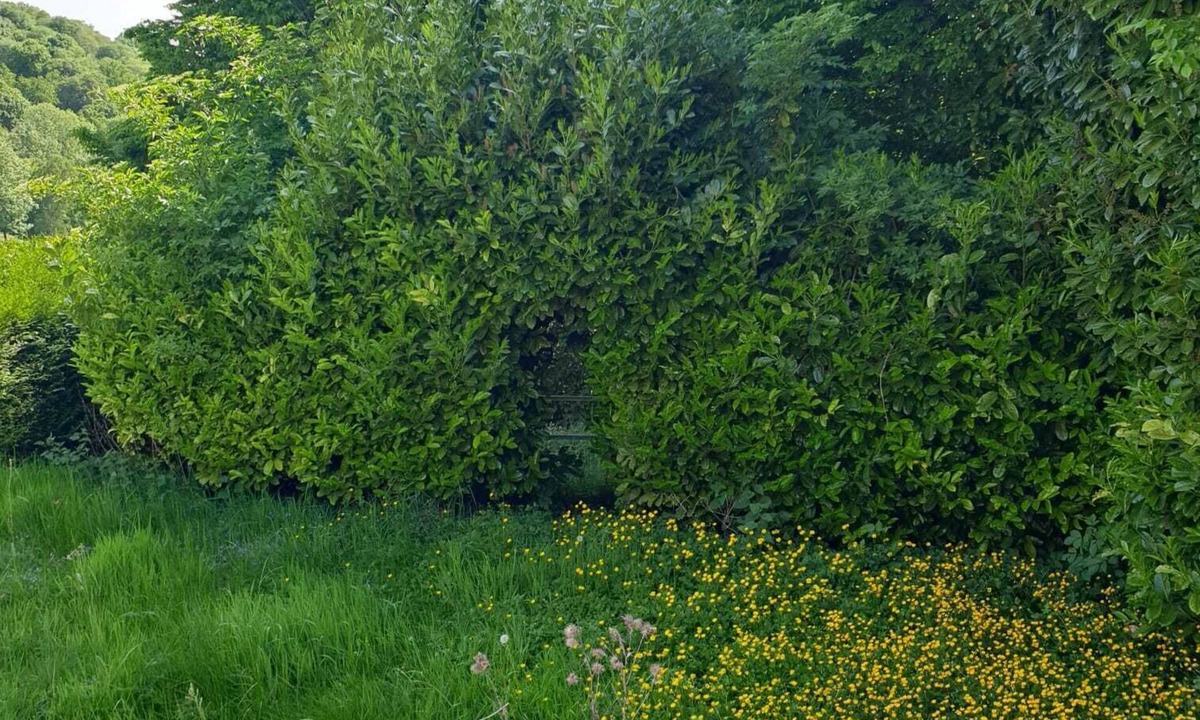 Savignies House | Au Domaine Cru