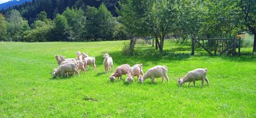 Fougax-et-Barrineuf House | Au mohair des Alpy