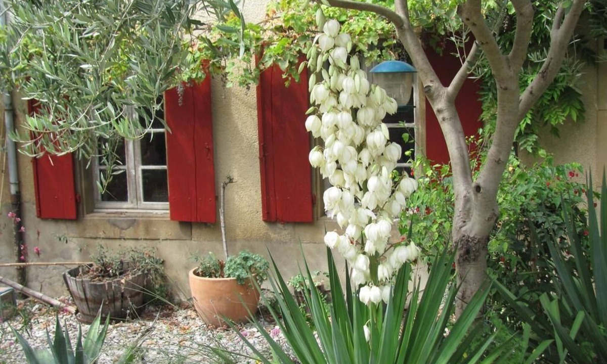 Pauligne House | Au Pied du Figuier