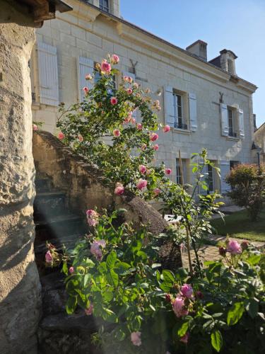 Gennes-Val-de-Loire Bed & Breakfast | Au pied du Lavoir Chambre Odile