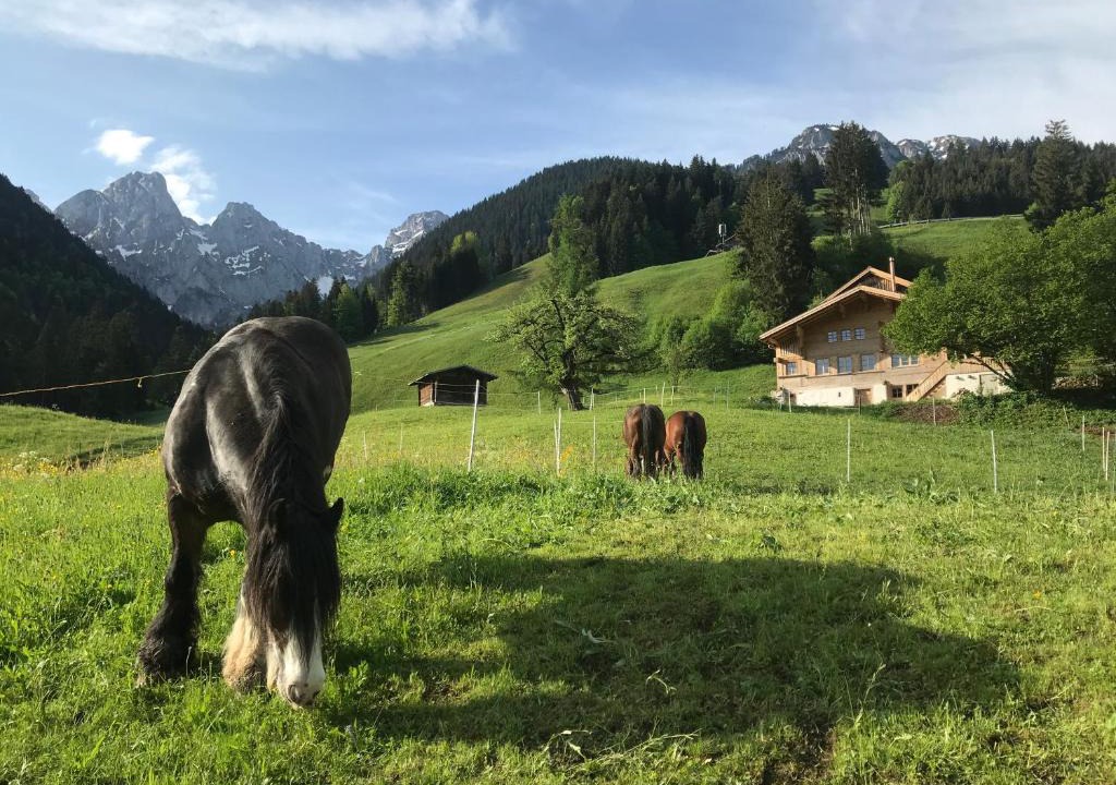 Chateau-d'Oex Bed & Breakfast | Au Pré des Chevaux