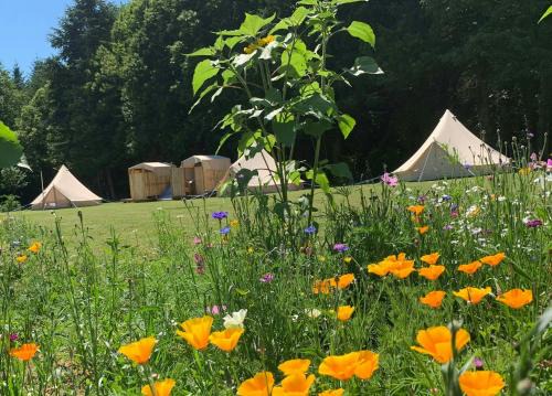 Le Lindois Other | Au Pré Fleuri Eco Glamping